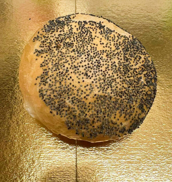 Pistolet Maanzaad